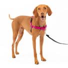 Arnês para cães PetSafe Easy Walk No-Pull Médio Framboesa/Cinza