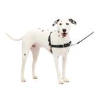 Arnês para cães PetSafe Easy Walk No-Pull médio/grande preto/prata