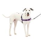 Arnês para cães PetSafe Easy Walk No-Pull médio/grande roxo