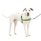 Arnês para cães PetSafe Easy Walk No-Pull médio/grande