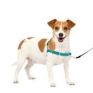 Arnês para cães PetSafe Easy Walk No Pull Small azul/cinza