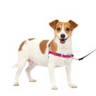 Arnês para cães PetSafe Easy Walk No-Pull Small Framboesa/Cinza