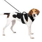 Arnês para cães PetSafe EasySport ajustável acolchoado preto grande