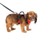 Arnês para cães PetSafe EasySport Red Extra Small