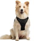 Arnês para Cães Rabbitgoo - Ajustável e Anti-Puxão para Cães Médios