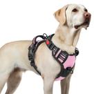 Arnês para cães rabbitgoo atualizado sem tração para cães grandes, rosa L