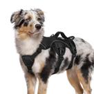 Arnês para cães rabbitgoo Escape Proof Full Body M Black Arnês para cães rabbitgoo Escape Proof Full Body M Black