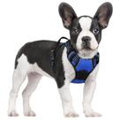 Arnês para cães rabbitgoo No Pull Adjustable S Dazzling Blue