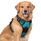 Arnês para cães rabbitgoo No Pull Adjustable Teal XL