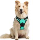 Arnês para cães rabbitgoo No Pull Adjustable Turquoise M