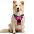 Arnês para cães rabbitgoo No Pull ajustável rosa choque para médio