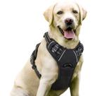 Arnês para cães rabbitgoo No-Pull Pet Harness preto para cães grandes