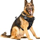 Arnês para cães WINSEE No Pull com coleira refletiva para cães XL