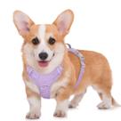 Arnês refletivo para cães BARKBAY No Pull com bolso de identificação (roxo violeta, M) Arnês refletivo para cães BARKBAY No Pull com bolso de identificação (roxo violeta, M)