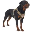 Arnês tático para cães AUROTH Auroth para cães grandes Desert Camo Arnês tático para cães AUROTH Auroth para cães grandes Desert Camo
