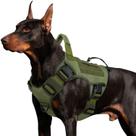 Arnês Tático WINGOIN para Cães Grandes - Verde (Tamanho L)