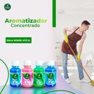 AROMATIZADOR CONCENTRADO - 100ml FAZ 5L (RAMAS)