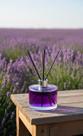 Aromatizador de ambiente Difusor de varetas Lavanda do Campo Item de Luxo Canto dos Aromas