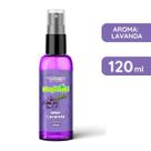 Aromatizante Ambiente Tecidos Lavanda Home Spray 120ml Frescor Cheirinho Para Casa Perfumada Aromatizante Ambiente Tecidos Lavanda Home Spray 120ml Frescor Cheirinho Para Casa Perfumada