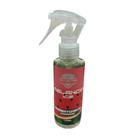 Aromatizante cheirinho melancia ice vilustro 120ml
