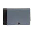 Arquivo expansível Amazon Basics PBH-2556, tamanho carta, pacote com 12