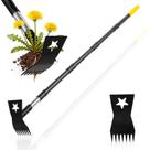 Arrancador de ervas daninhas BlumeTrec 2 em 1, enxada e ancinho de jardim, 173 cm