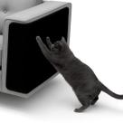 Arranhador Adesivo para Gatos 30x48cm Protetor para Sofá e Cama Autocolante