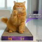 Arranhador de Gato Plano Dupla Face Papelão Pet Antiestresse Ansiedade Durável Protege Móveis Sofá Brinquedo para Felino My Mia Original