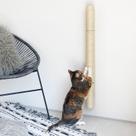 Arranhador de Gato Xympo 34 - Montado na Parede com Sisal