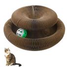 Arranhador Magico Pet Gato Felino Bola Guizo Brinquedo Multi Formas Dobravel Diversao Entretenimento Lazer Arranhador Magico Pet Gato Felino Bola Guizo Brinquedo Multi Formas Dobravel Diversao Entretenimento Lazer