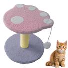 Arranhador para Gatos Patinha Bola Interativo Brincadeira Arranhar Brincar Macio Aconchegante Pet Shop Sisal Descanso Escala Confortável Diversão Anim