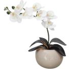 Arranjo 1 Flor Orquídea Real Branca Delicada Vaso Bege