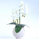 Arranjo 2 Orquídeas Artificiais Brancas em Aquário Nude Flora Arranjo 2 Orquídeas Artificiais Brancas em Aquário Nude Flora