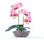 Arranjo 2 Orquídeas Artificiais Rosa em Ikebana De Vidro Lari