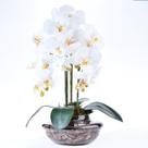 Arranjo 3 Orquídeas Artificiais em Terrário Pequeno Incolor