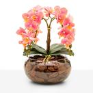 Arranjo 4 Hastes Orquídea Flor Artificial Realista Decoração Centro de Mesa