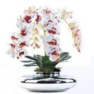 Arranjo 4 Orquídeas Artificiais Tigre em Terrário Prata Mari