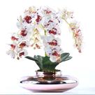 Arranjo 4 Orquídeas Artificiais Tigre em Terrário Rose Gold Bel