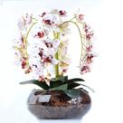 Arranjo 4 Orquídeas Artificiais Tigre em Vaso de Vidro Duda
