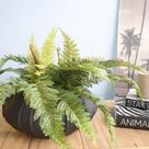 Arranjo Artificial de Samambaia Luxo no Vaso Hanazaki Preto