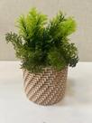 Arranjo Artificial Decorativo de Pcks Verdes e vaso de cerâmica imitando palha 17cm
