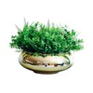 Arranjo Buque de Folhagem Artificial no Vaso Dourado G Elisi Arranjo Buque de Folhagem Artificial no Vaso Dourado G Elisi