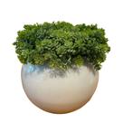 Arranjo Centro de Mesa Florzinha Verde Artificial Vaso Branco Completo