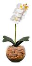 Arranjo Centro De Mesa Orquídea Branca Artificial Vaso