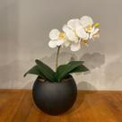 Arranjo Centro De Mesa Orquídea Branca Artificial Vaso Preto