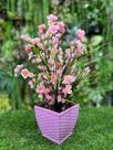 Arranjo Cerejeira Sakura Artificial - Arranjo Flores Artificiais de Mesa Vaso Rattan
