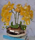 Arranjo Com 4 Orquídeas Amarela Vaso Dourado 28cm Arranjo Com 4 Orquídeas Amarela Vaso Dourado 28cm