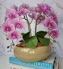 Arranjo Com 4 Orquídeas Violeta Vaso Fendi 28cm Arranjo Com 4 Orquídeas Violeta Vaso Fendi 28cm