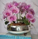 Arranjo Com 4 Orquídeas Violeta Vaso Prata 28cm Arranjo Com 4 Orquídeas Violeta Vaso Prata 28cm