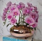 Arranjo Com 4 Orquídeas Violeta Vaso Rose 28cm Arranjo Com 4 Orquídeas Violeta Vaso Rose 28cm